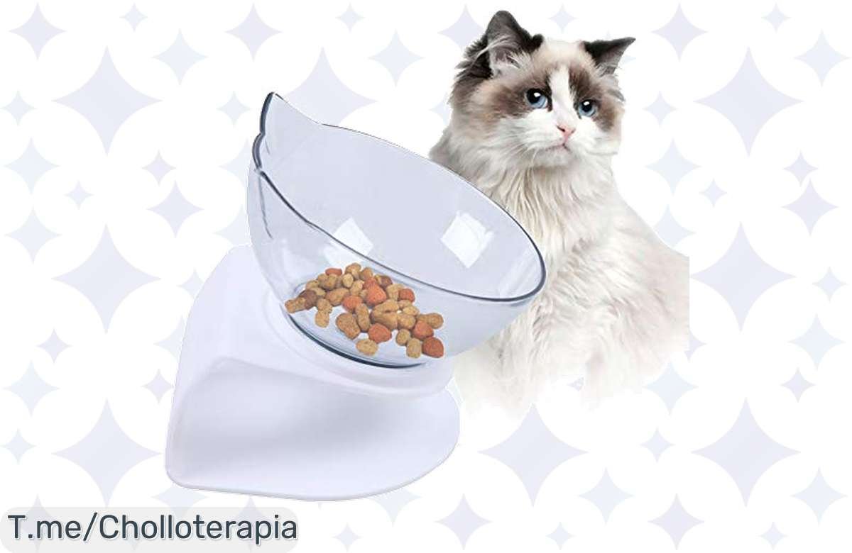 Comedero elevado para gatos: ¡Dale a tu felino lo mejor sin gastar de más!