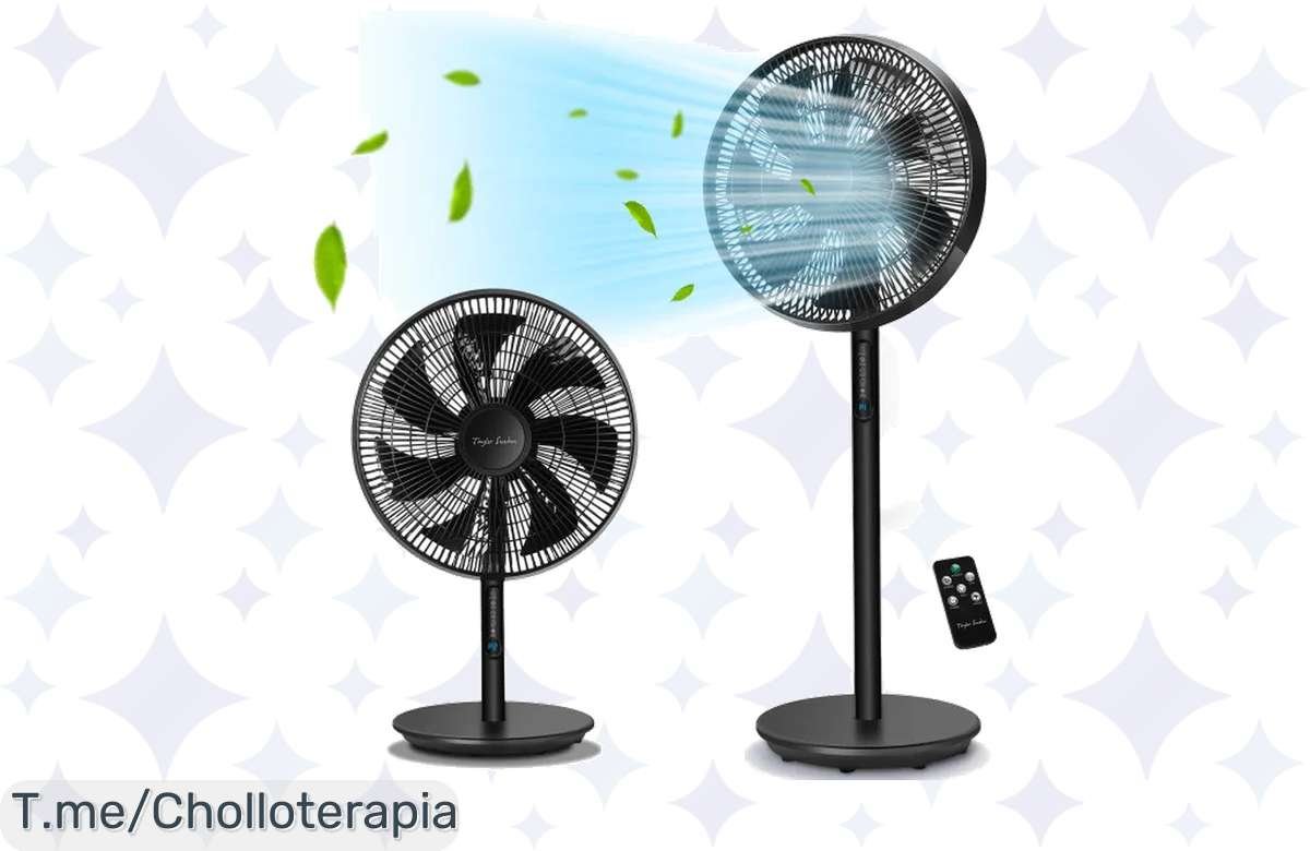 Oportunidad única: Ventilador 2 en 1 con mando y más funciones, ¡por muy poco!