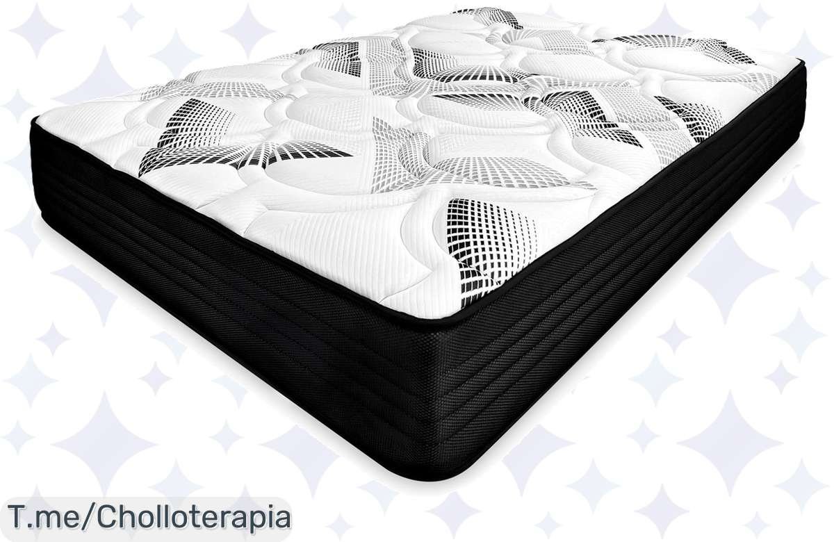 Sueña como un rey sin gastar una fortuna con Viscobox – ¡Oferta limitada!