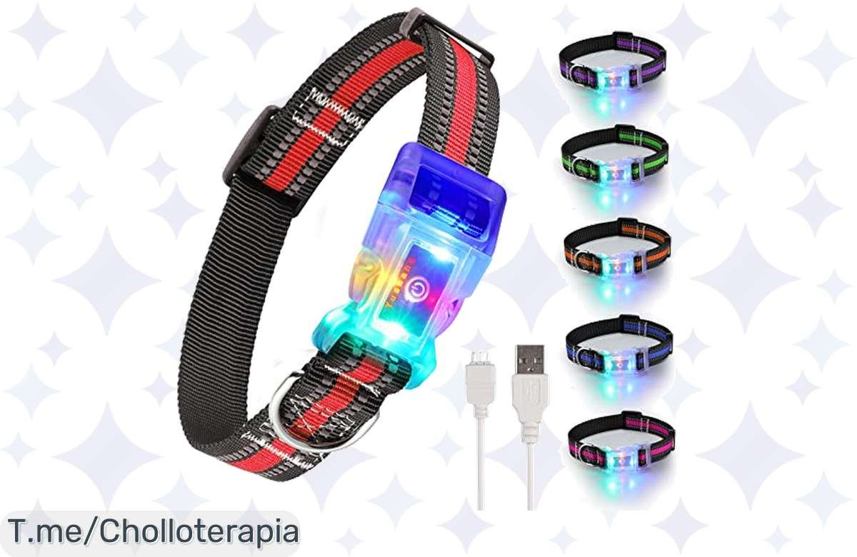 ¡Collar LED para Tu Peludo a Precio de Risa! Impermeable y Recargable en Varios Colores ¡Hazte con el Tuyo Ahora!