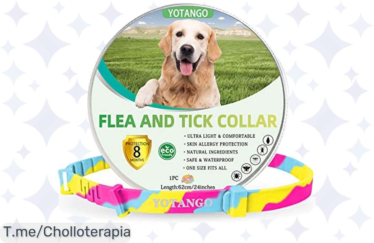 ¡Collares antiparasitarios al mejor precio! Protección 8 meses