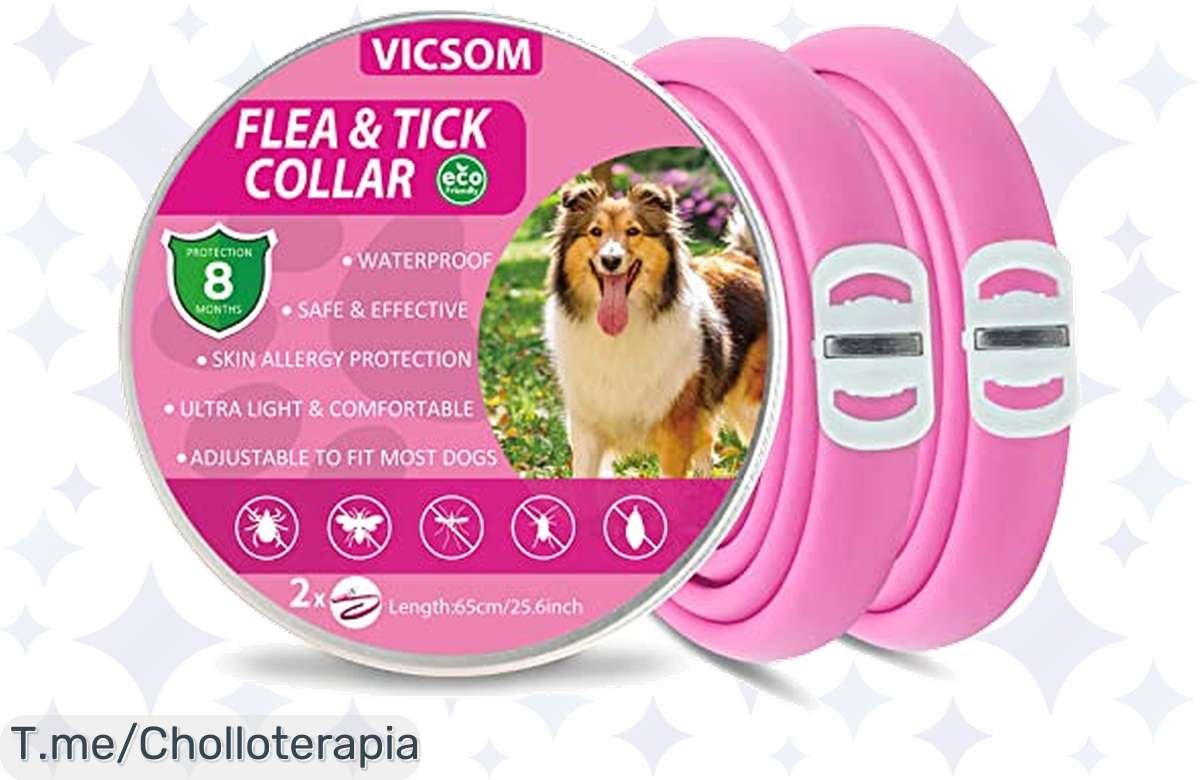 ¡Collares antipulgas en oferta: cuida a tu perro con estilo por 8 meses, apúrate!