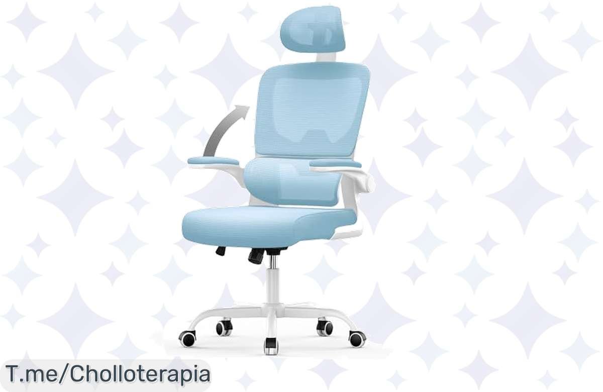 ¡Locura de precio! Silla ergonómica con soporte lumbar, mejora tu comodidad ya!