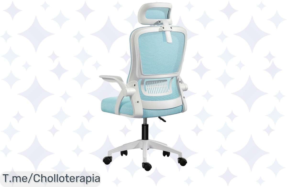 ¡Oferta loca! Silla de oficina ergonómica con soporte lumbar y reposacabezas a un precio ridículo