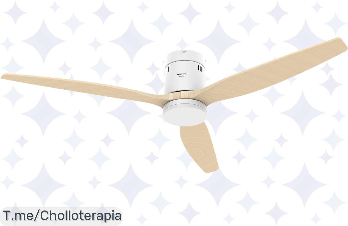 ¡Ofertón: Ventilador de techo silencioso con mando y diseño único, no lo dejes pasar!