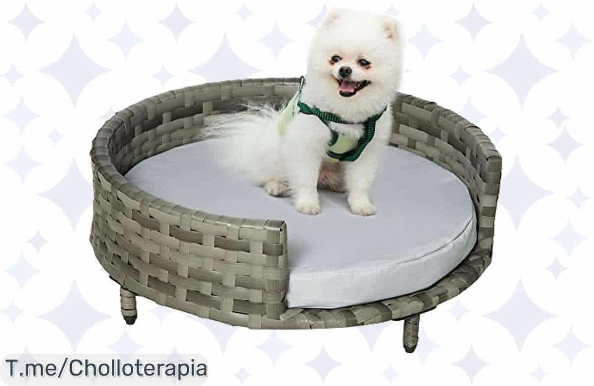Atrapa el super chollo del sofá redondo PawHut para tu peludo: comodidad total con cojín impermeable. ¡Haz tu compra ya y no te pierdas este ofertón limitado!