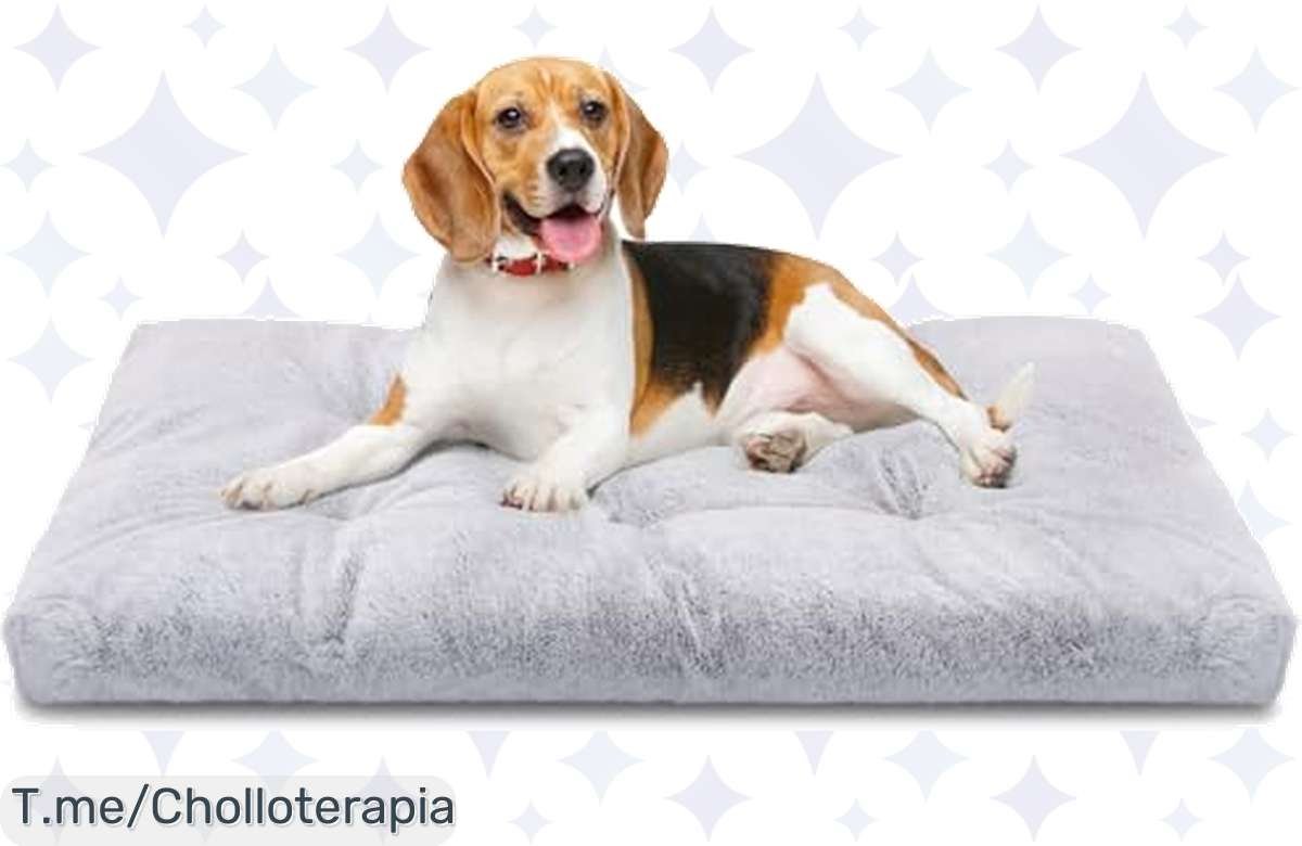 Cama lavable para perro: ultra cómoda a precio de risa, ¡llévatela ya!