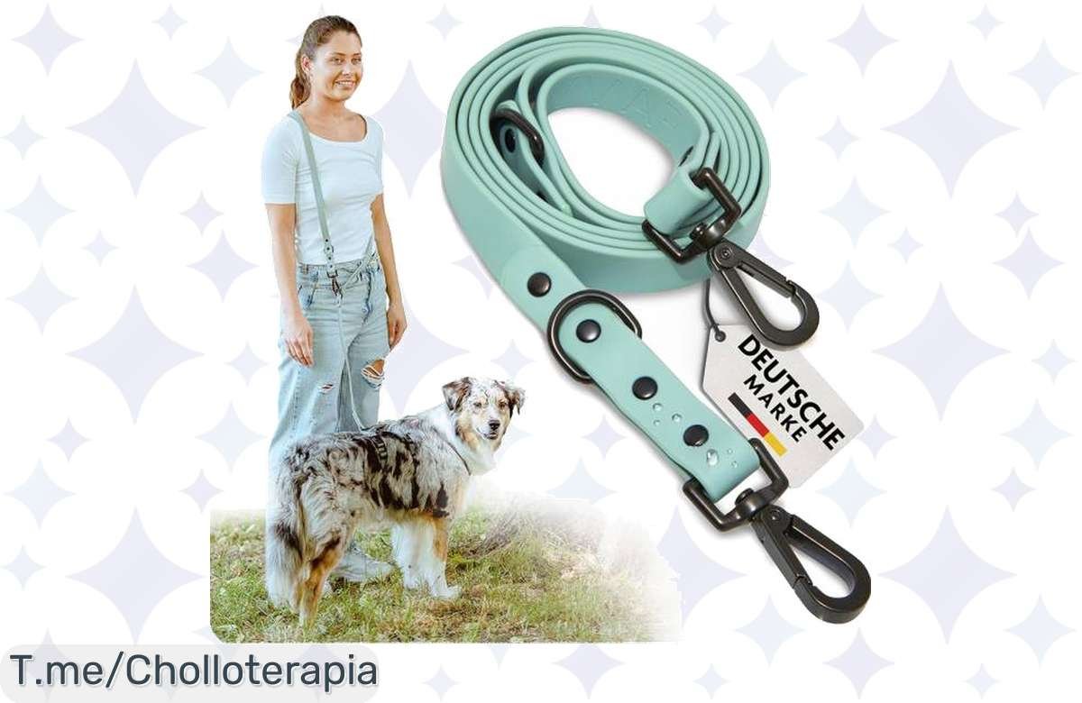 Conquista paseos inolvidables con la impresionante correa FAVVITY PET en menta, prinsipia el infinito y deja que tu perro explore al máximo, ¡actúa ya!