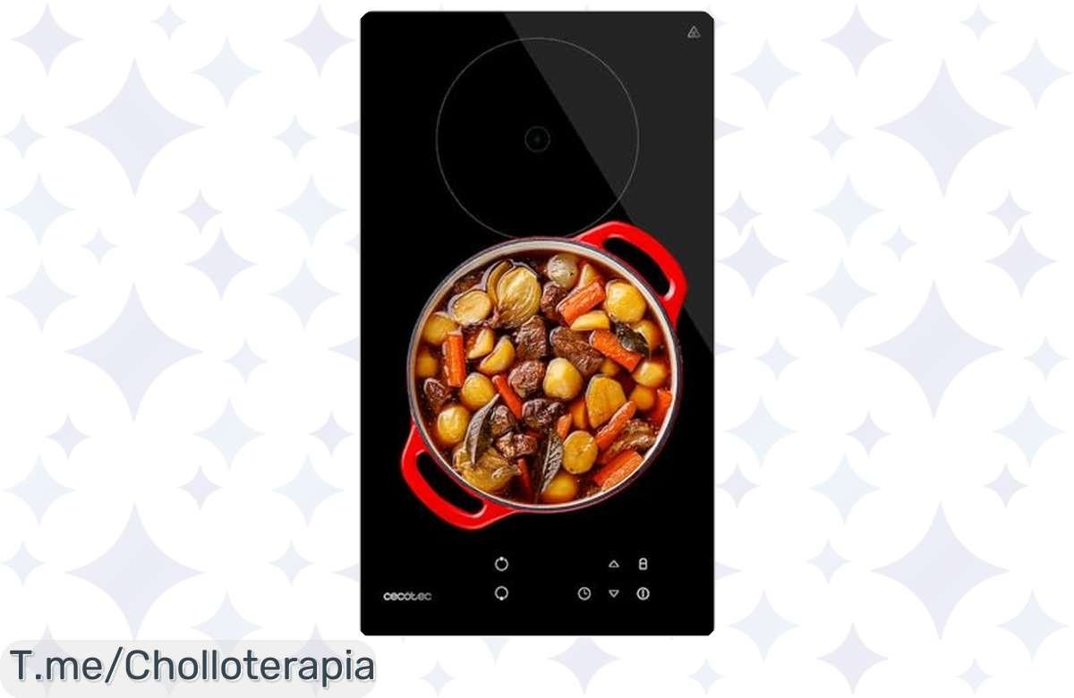 Oferta loca: Placa Vitrocerámica Cecotec con 9 niveles, ¡aprovecha ya!