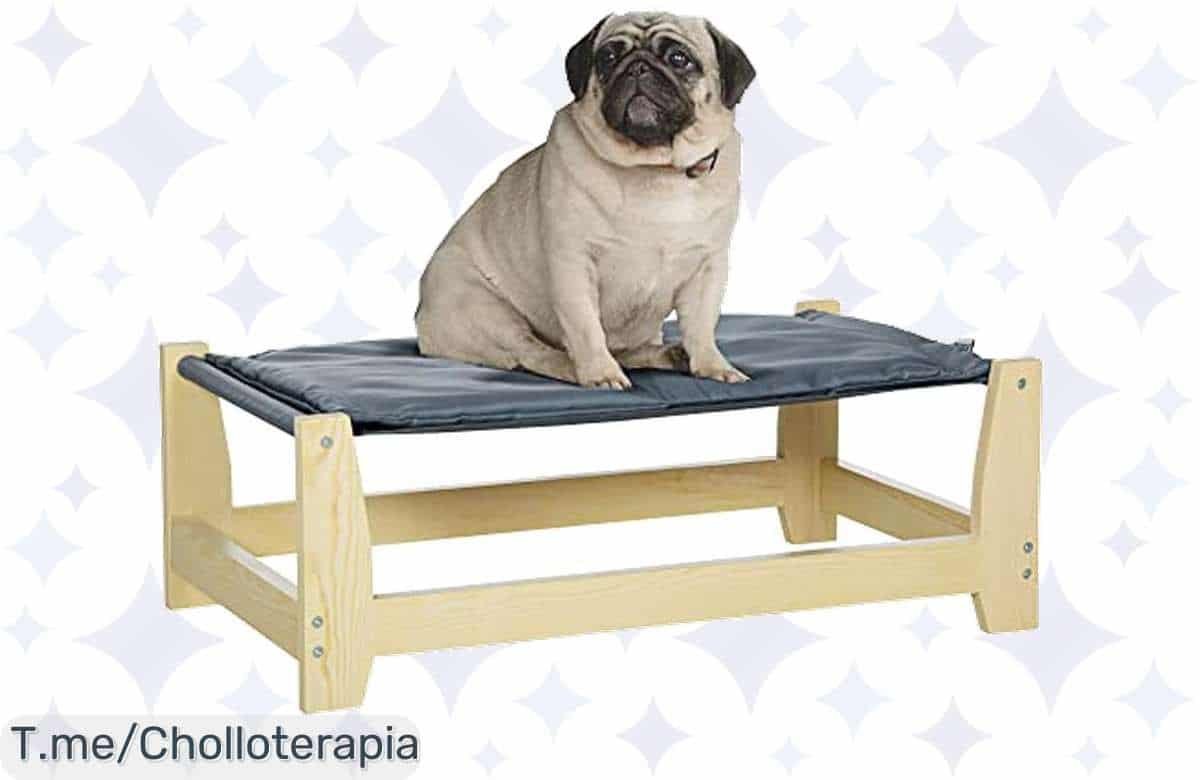 Transforma el descanso de tu peludito con la cama elevada PawHut, un super chollo con descuento brutal. ¡Hazlo feliz y aprovecha esta oferta limitada ya!