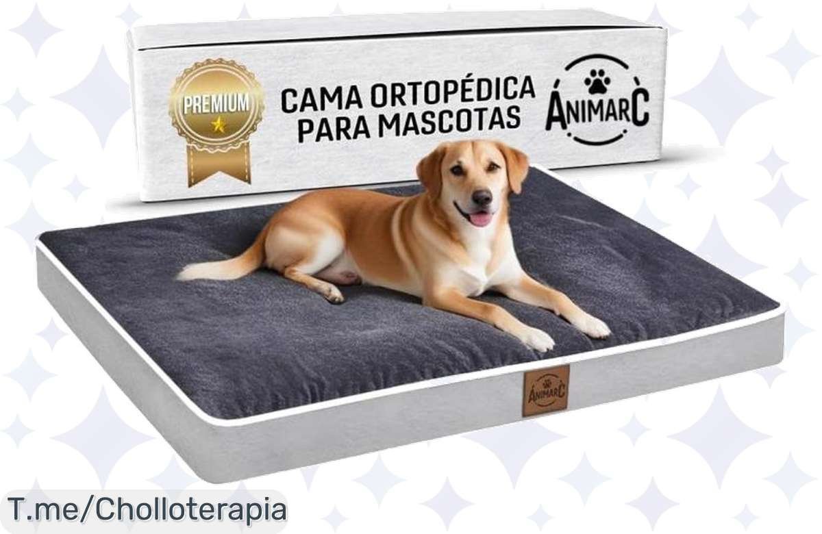 Transforma el descanso de tu perro con nuestra cama ortopédica y viscoelástica a un precio loco, ¡ofertón limitado que no puedes dejar pasar, hazte con la mejor cama ya!