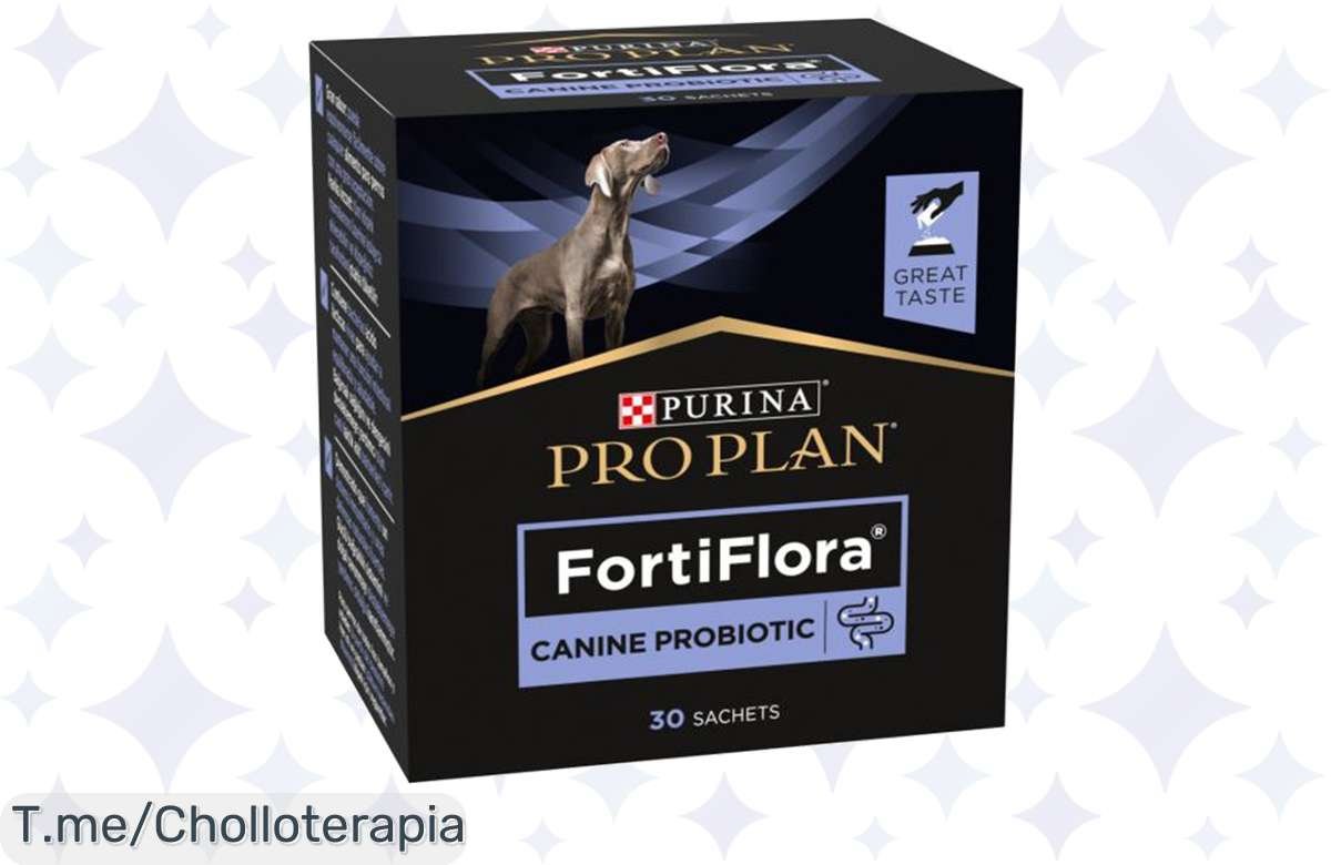 Transforma la salud de tu peludo: Prueba Purina Nestle Pro Plan Fortiflora y aprovecha hoy este chollo único para su bienestar y felicidad
