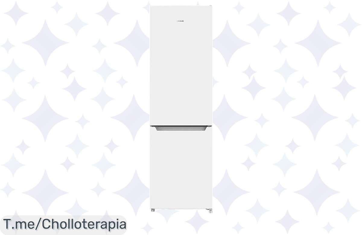 Transforma tu cocina con el frigorífico CECOTEC: Multi Air Flow, Total No Frost y 250 litros de frescura. ¡Aprovecha este ofertón exclusivo antes de que se acabe!
