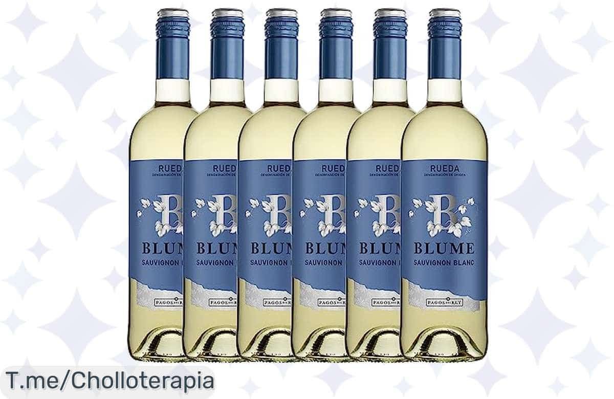 Transforma tus momentos con 6 botellas de Blume Blanco Sauvignon Blanc a un precio loco, frescura y sabor inigualables. ¡Aprovecha este ofertón antes de que se agoten!
