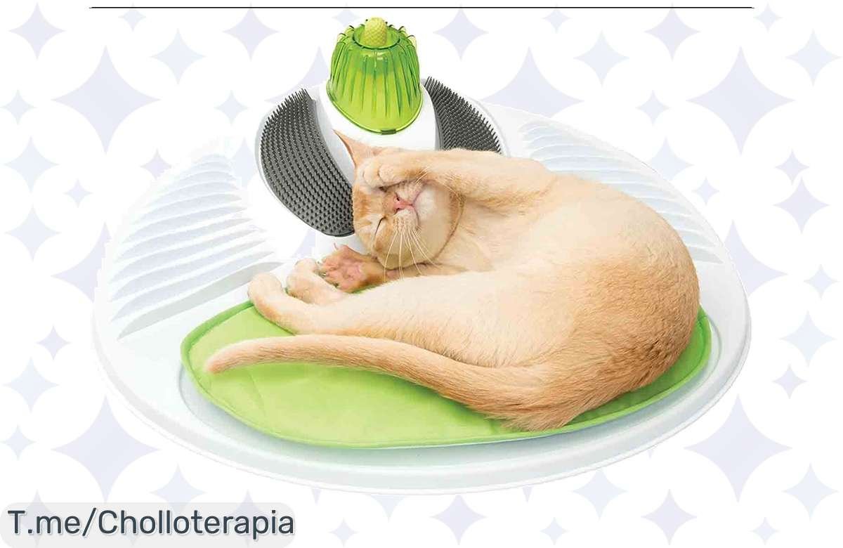¡Felicidad gatuna a precio de risa! Masajes premium para tu gato, no lo dejes pasar!