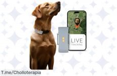 Captura la aventura de tu perro con el PAJ GPS, el super chollo que te avisa si se escapa y lo rastrea en vivo ¡Aprovecha este ofertón limitado y compra ya!