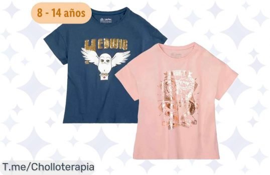 Descubre el preciosísimo pack de 2 camisetas júnior de Harry Potter a un precio loco, ¡con un estilo super trendy! Date prisa, ¡oferta limitada que no puedes dejar pasar!