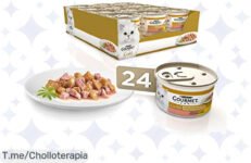 Descubre el super chollo de Gourmet Purina Gold: ¡24 latas de salmón y pollo que transformarán cada comida en un festín! Aprovecha este ofertón antes de que se agote