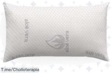 Duerme como un rey con la almohada viscoelástica de Aloe Vera, un super chollo que combate bacterias y te ofrece comodidad excepcional ¡Aprovecha este ofertón antes de que se acaben!