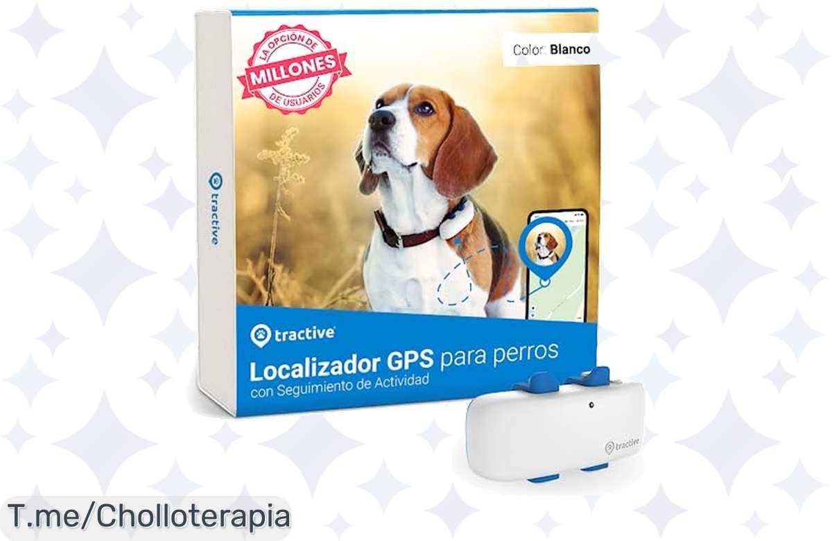 Localiza a tu perro en tiempo real con este super chollo, controla su salud y actividad mientras disfrutas de tus vacaciones. ¡Consíguelo ya antes de que se agote!