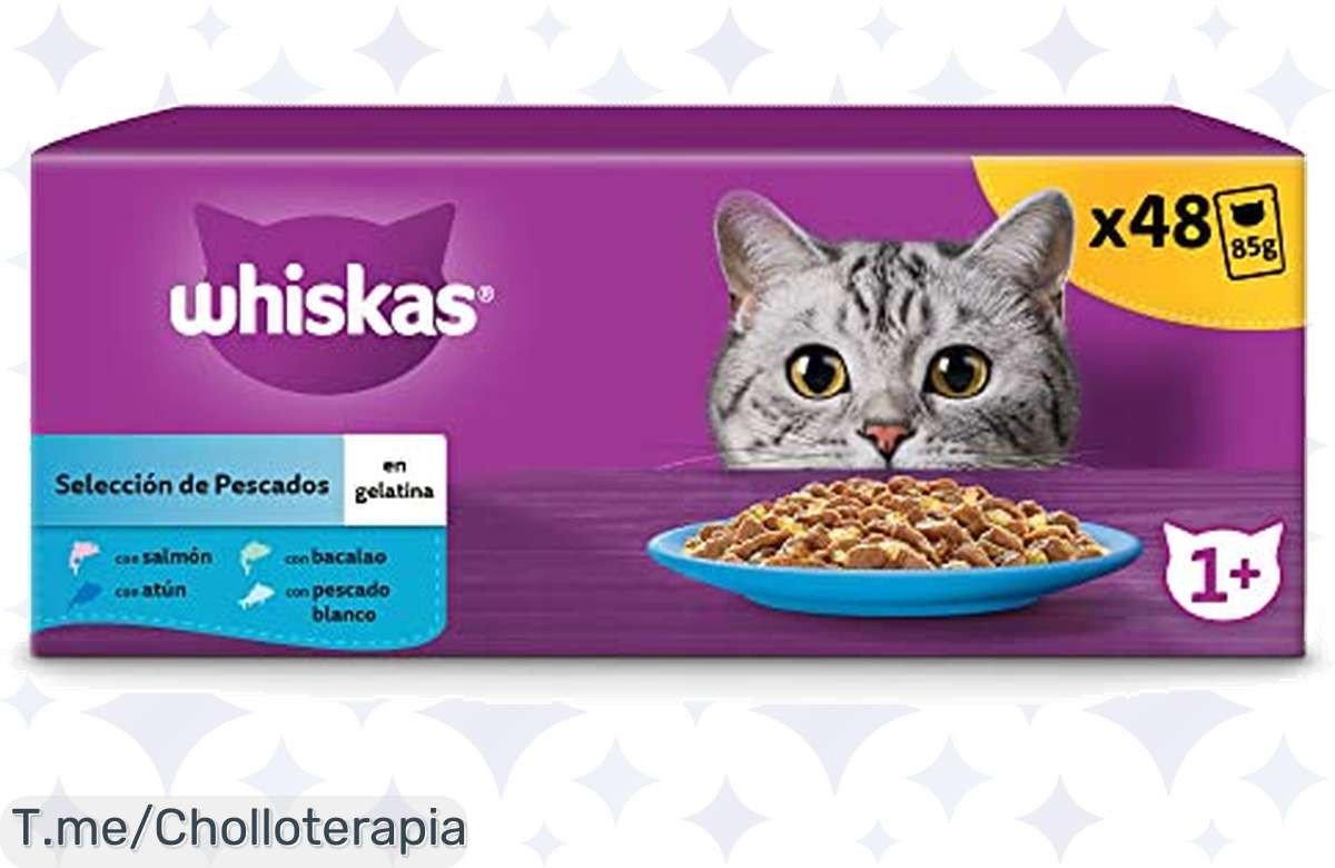 Dale a tu gato un festín inigualable con Whiskas: nutrición superior, energía y felicidad al mejor precio loco. ¡Apresúrate, esta oferta única es limitada!