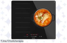 Descubre el ofertón del momento: Placa de Inducción Cecotec con 6600W y 9 niveles para cocinar como un chef ¡Aprovecha este precio loco antes que se agote!