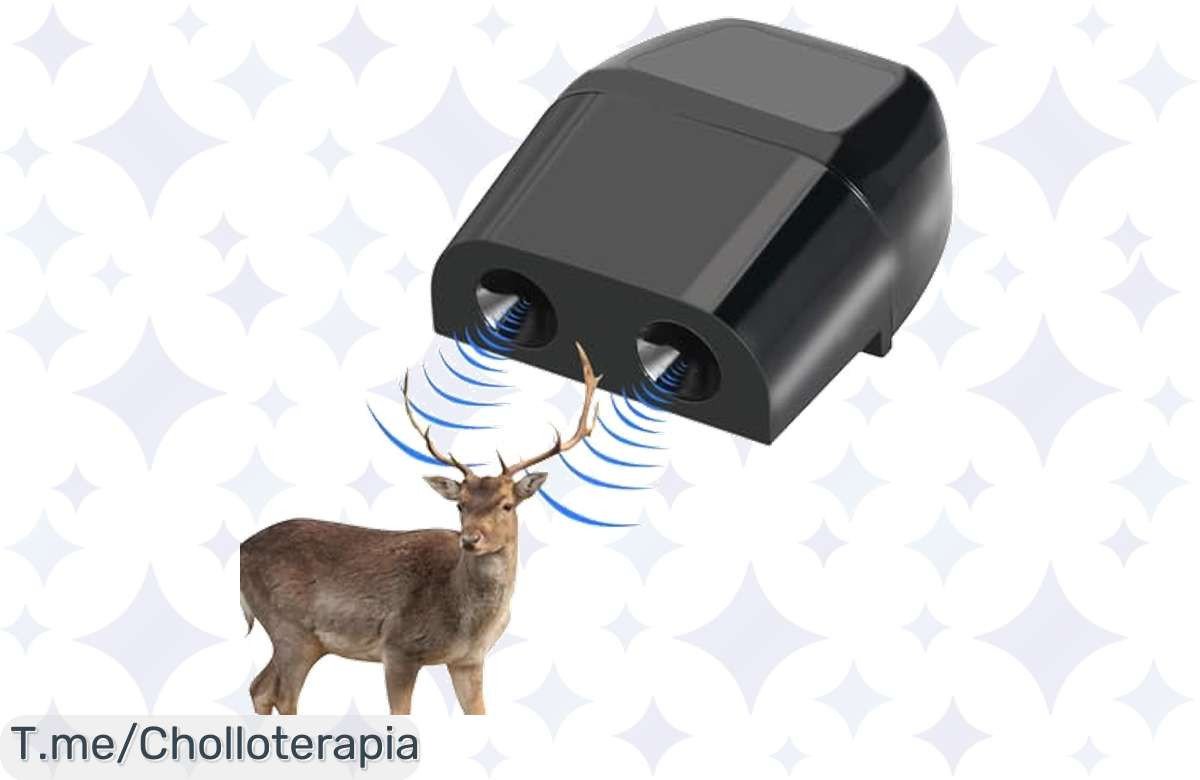 Descubre el super chollo del silbato anticiervo que protegerá tu coche mientras disfrutas de más tiempo libre. No esperes, ¡hazte con el tuyo antes de que se agote!