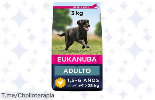 Eukanuba para perros grandes a precio loco: delicioso pollo fresco que mejora la digestión y fortalece los huesos ¡Aprovecha este ofertón antes de que se agote!
