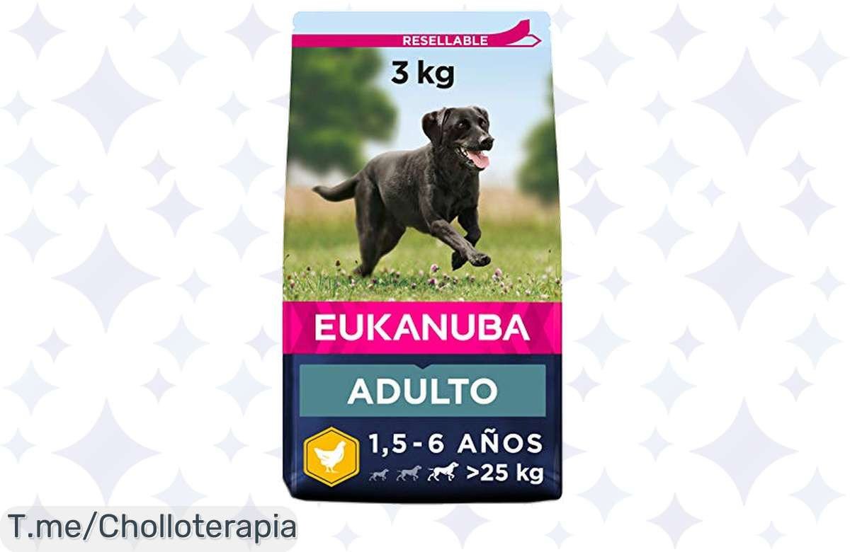Eukanuba para perros grandes a precio loco: delicioso pollo fresco que mejora la digestión y fortalece los huesos. ¡Aprovecha este ofertón antes de que se agote!