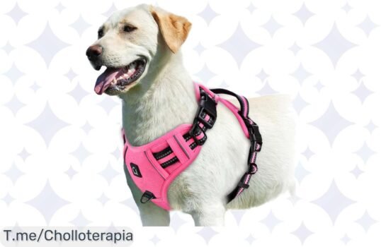 Transforma Paseo En Aventura Con El Arnés Suave Y Ajustable Para Perros, Comodidad Única Y Control Total ¡Aprovecha Este Ofertón Antes De Que Se Agote!