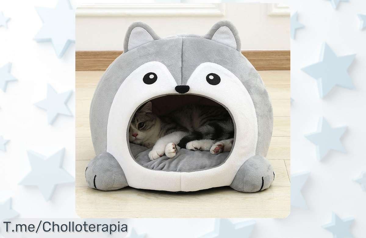 Cama de gato suave para que tu peludo se sienta como un rey, ¡no te pierdas este super chollo! Descanso perfecto y comodidad inigualable. Compra ya antes que se acabe.