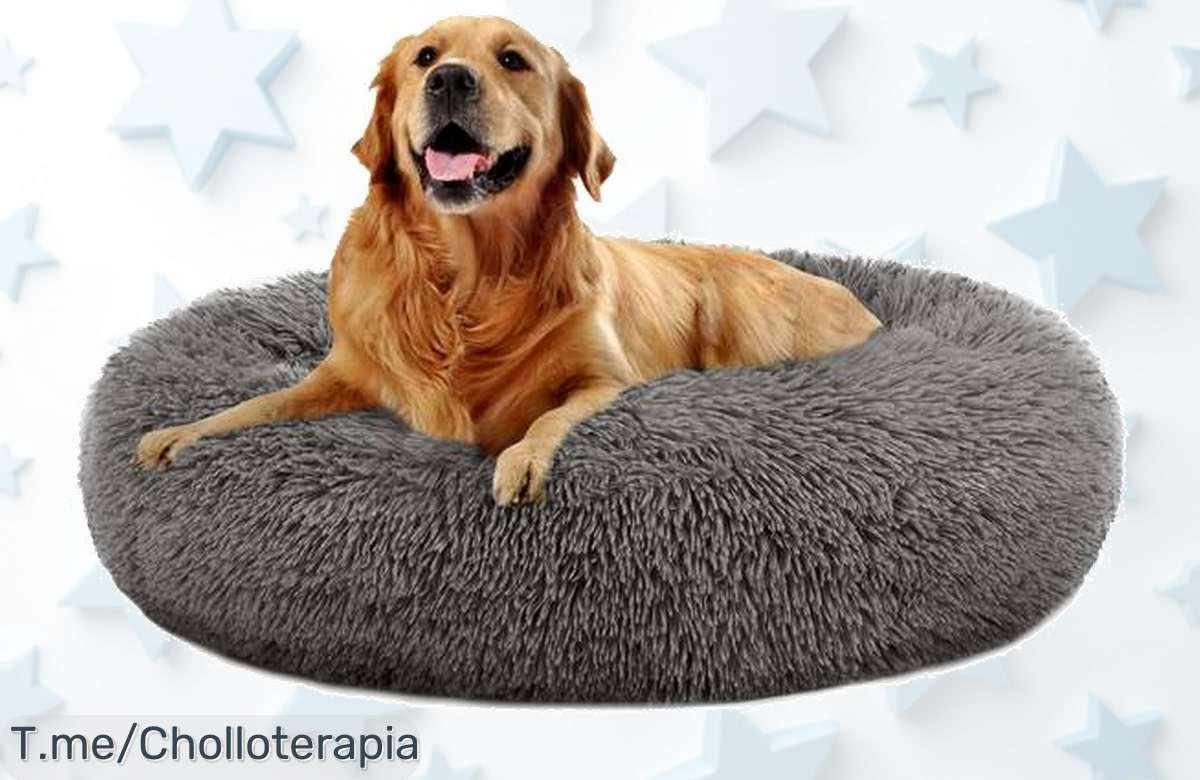 Cama de lujo para perros SPOCADO County en precio loco, comodidad inigualable y estilo único. ¡Aprovecha esta oferta increíble antes de que se agoten!
