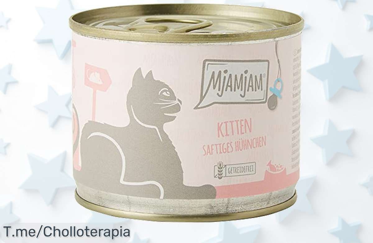 Dale a tu gato el manjar que merece con MjAMjAM, carne jugosa y nutritiva en cada bocado. Aprovéchate de este super chollo pack de 6 antes que se acabe ¡Compra ya!