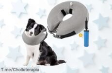 Descubre el Collar Isabelino Inflable para Perros a precio loco, comodidad única y recuperación sin estrés ¡Aprovecha este ofertón antes de que desaparezca!