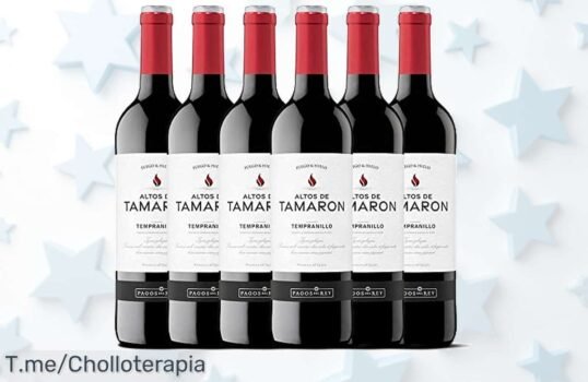 Descubre el Sabor Único de Altos De Tamaron: 6 Botellas de Vino Tinto Tempranillo a Precio Loco, Perfecto para Brillar tus Cenas ¡Consíguelo Ya Antes de Que Se Agote!