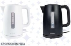 Descubre el hervidor de agua 3000 W a un precio loco: ¡hierve en segundos y disfruta tus infusiones! Aprovecha este ofertón antes que se acabe, no te quedes sin él