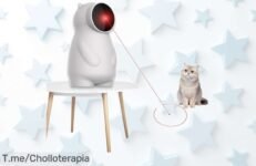 ¡Descubre el juguete eléctrico interactivo perfecto para tu mascota! Con recarga USB y diversión sin fin, aprovecha nuestro descuentazo antes de que se agote