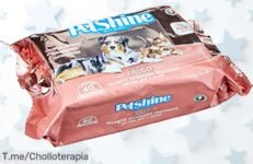 Descubre el ofertón de toallitas Porrini para tu mascota: 40 unidades con talco y aloe que mantienen a tu peludo fresco y limpio ¡No te lo pierdas, compra ahora!