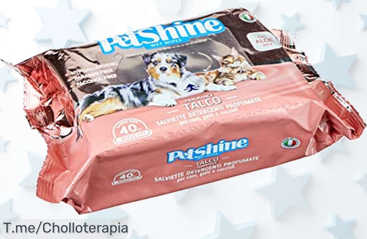 Descubre el ofertón de toallitas Porrini para tu mascota: 40 unidades con talco y aloe que mantienen a tu peludo fresco y limpio. ¡No te lo pierdas, compra ahora!