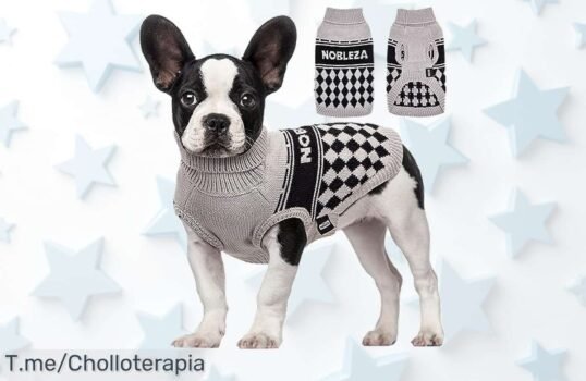 Descubre el suéter jersey elástico para tu perro pequeño, ¡abrigo de ganchillo que lo mantendrá calentito! Aprovecha este descuentazo y cómpralo ya antes de que se agote