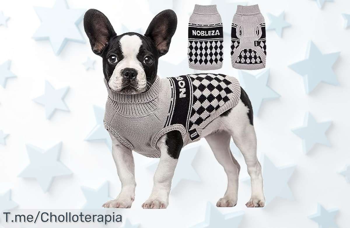 Descubre el suéter jersey elástico para tu perro pequeño, ¡abrigo de ganchillo que lo mantendrá calentito! Aprovecha este descuentazo y cómpralo ya antes de que se agote.