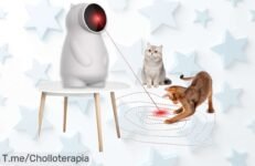 Descubre el super chollo del puntero láser WUGEIN, diversión ilimitada para tu gato con ajuste de rango y carga USB, ¡aprovecha este ofertón antes que se agote!