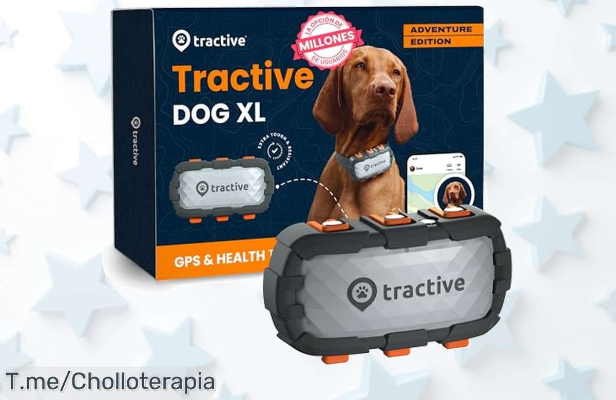 Localiza a tu perro en tiempo real con Tractive GPS: resistencia increíble y batería de hasta un mes. ¡No te pierdas este ofertón limitado para cuidar a tu mejor amigo!