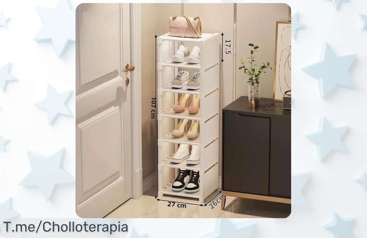 Organizador de zapatos plegable a precio loco: ahorra espacio con su diseño ajustable y disfruta de un hogar ordenado. ¡No te lo pierdas, compra ya esta oferta única!