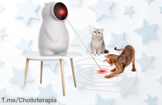 Transforma el juego de tu gato con este puntero láser interactivo a un precio loco, recarga USB y disfruta del super chollo antes que se agote ¡Compra ya!
