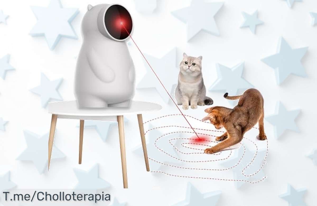 Transforma el juego de tu gato con este puntero láser interactivo a un precio loco, recarga USB y disfruta del super chollo antes que se agote. ¡Compra ya!