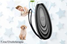 Transforma el ladrido en silencio con nuestro ahuyentador de perros: eficaz, compacto y fácil ¡No esperes más, aprovecha este ofertón limitado y actúa ya!