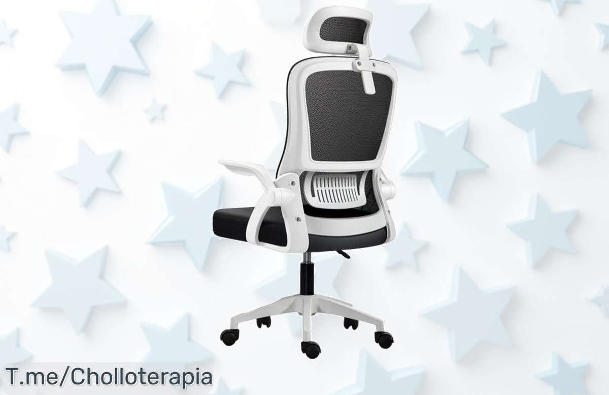 Transforma tu experiencia de juego con nuestra Silla Ergonómica: comodidad ajustable y respiro total para tus horas frente al ordenador. ¡No pierdas esta oferta limitada!