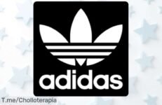 Atrapa el super chollo de fin de temporada con hasta un 50% de descuento en tus productos favoritos, ¡las existencias son limitadas! Actúa ya y no lo pierdas