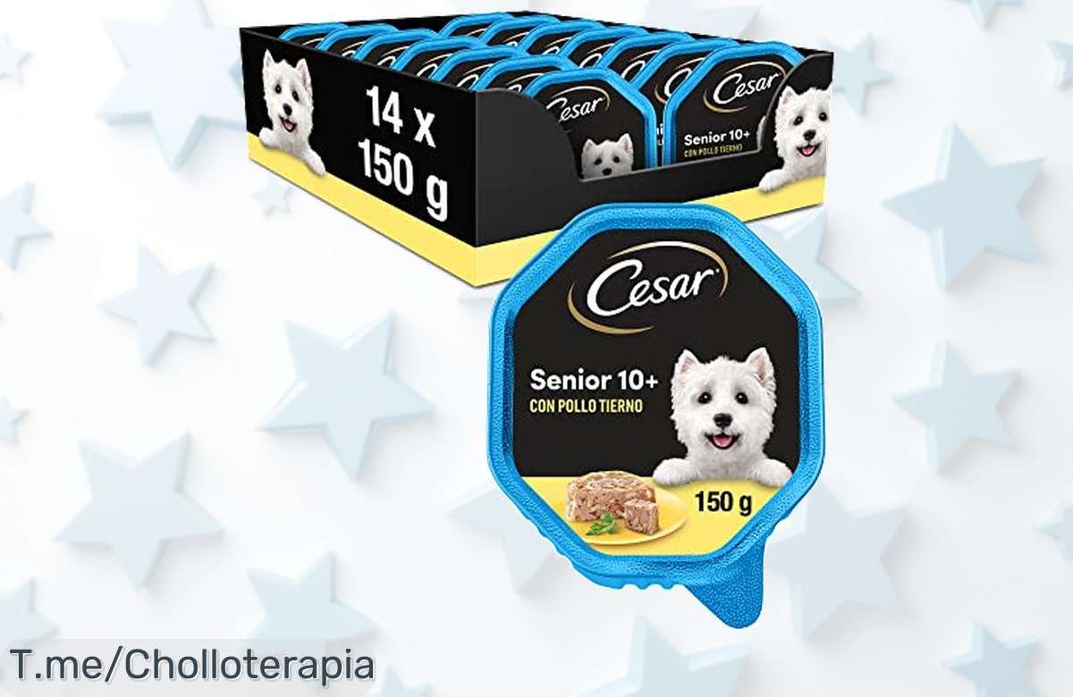 Deliciosa Comida Húmeda para Perros Senior con Pollo y Arroz a Precio Loco: Nutrición Natural que Ama tu Peludo. ¡Compra Ahora el Pack de 14 antes de que se Agote!